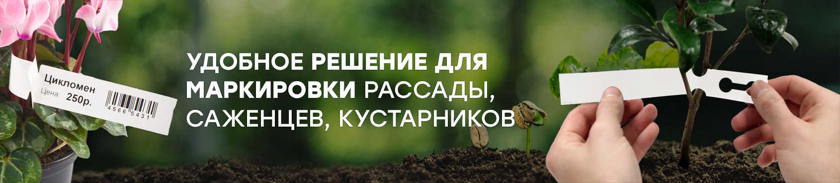 Маркировка саженцев и рассады: путь к увеличению прибыли в 2 раза